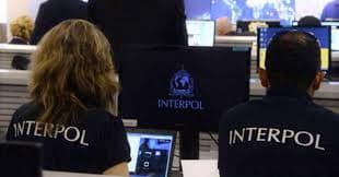 interpol law firm